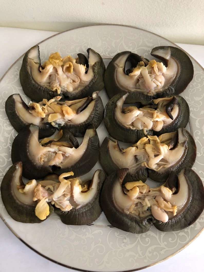 Snail - pack - African Heritage Market